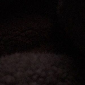 Meet your Posher, Oscar